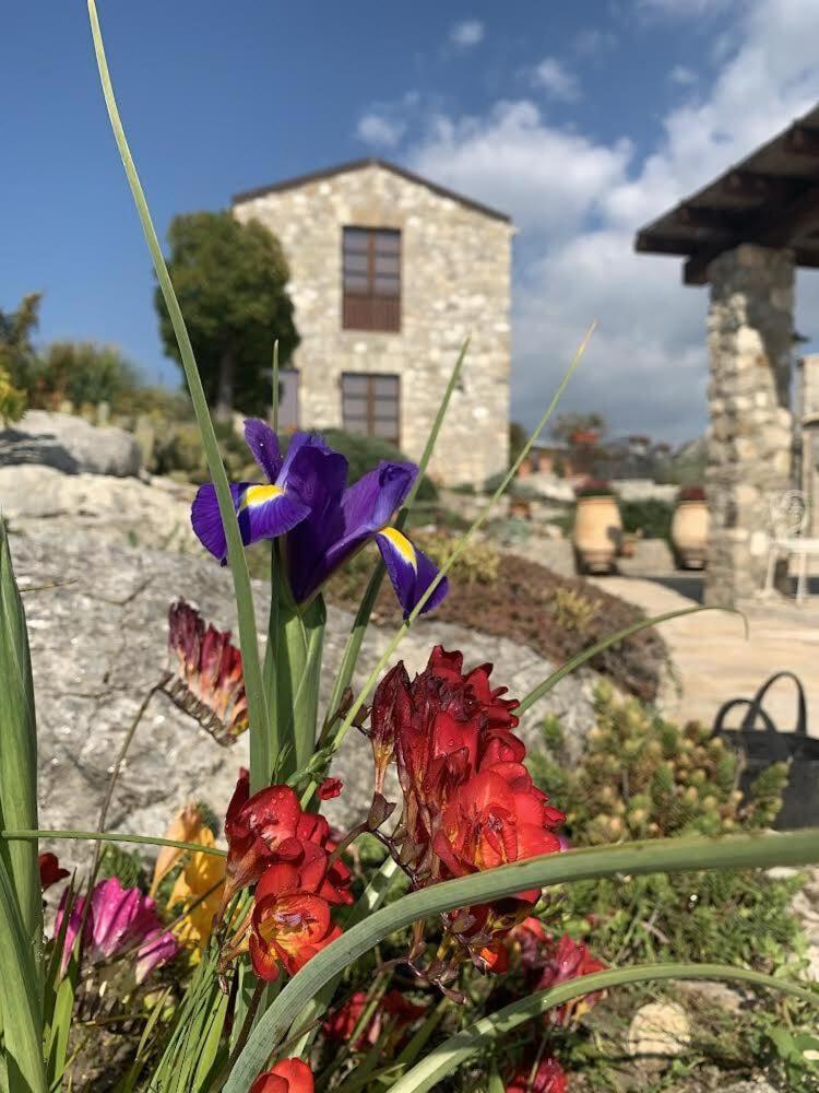Casa Balata Farm House Realmonte Kültér fotó